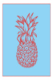 The Pineapple